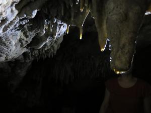 A view of Roadside cave