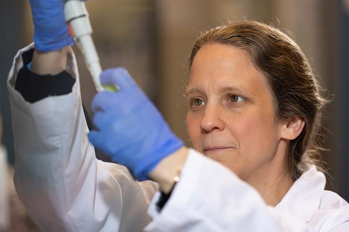University of Tennessee, Knoxville, associate professor Rachel McCord