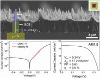 Electrical Characterization