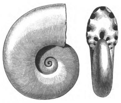 Ecosystem Markers