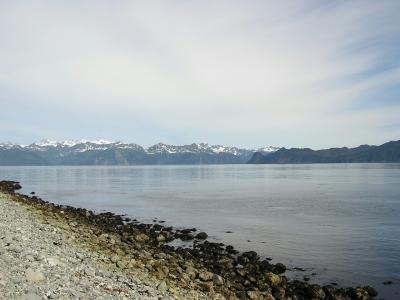 Cobble Beach in Prince William Sound, Alaska