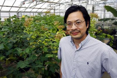 Sheng Yang He, Michigan State University