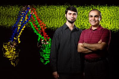 Mahmoud Moradi and Emad Tajkhorshid, University of Illinois at Urbana-Champaign 
