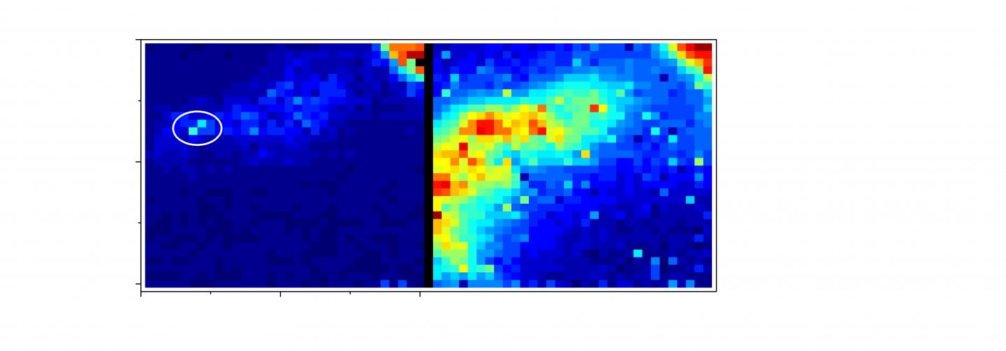 Images from a New Camera That Can Detect Tiny Traces of Light through the Body's Tissues.