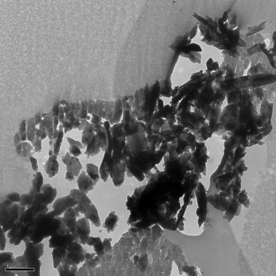 Dust Particle from Comet Wild 2