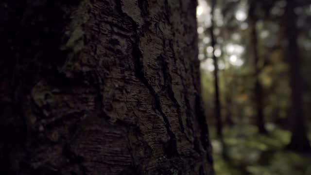 Natural Capital Video