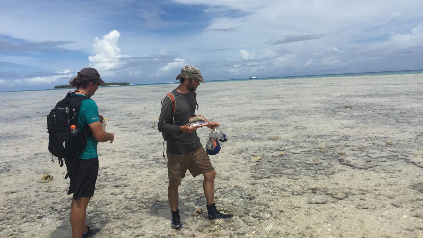 Collecting sediment samples