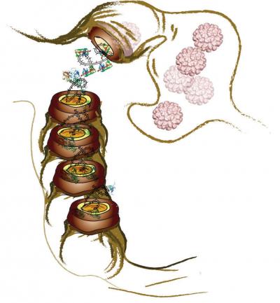 Illustration Graphic