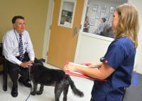 Companion Animal Care