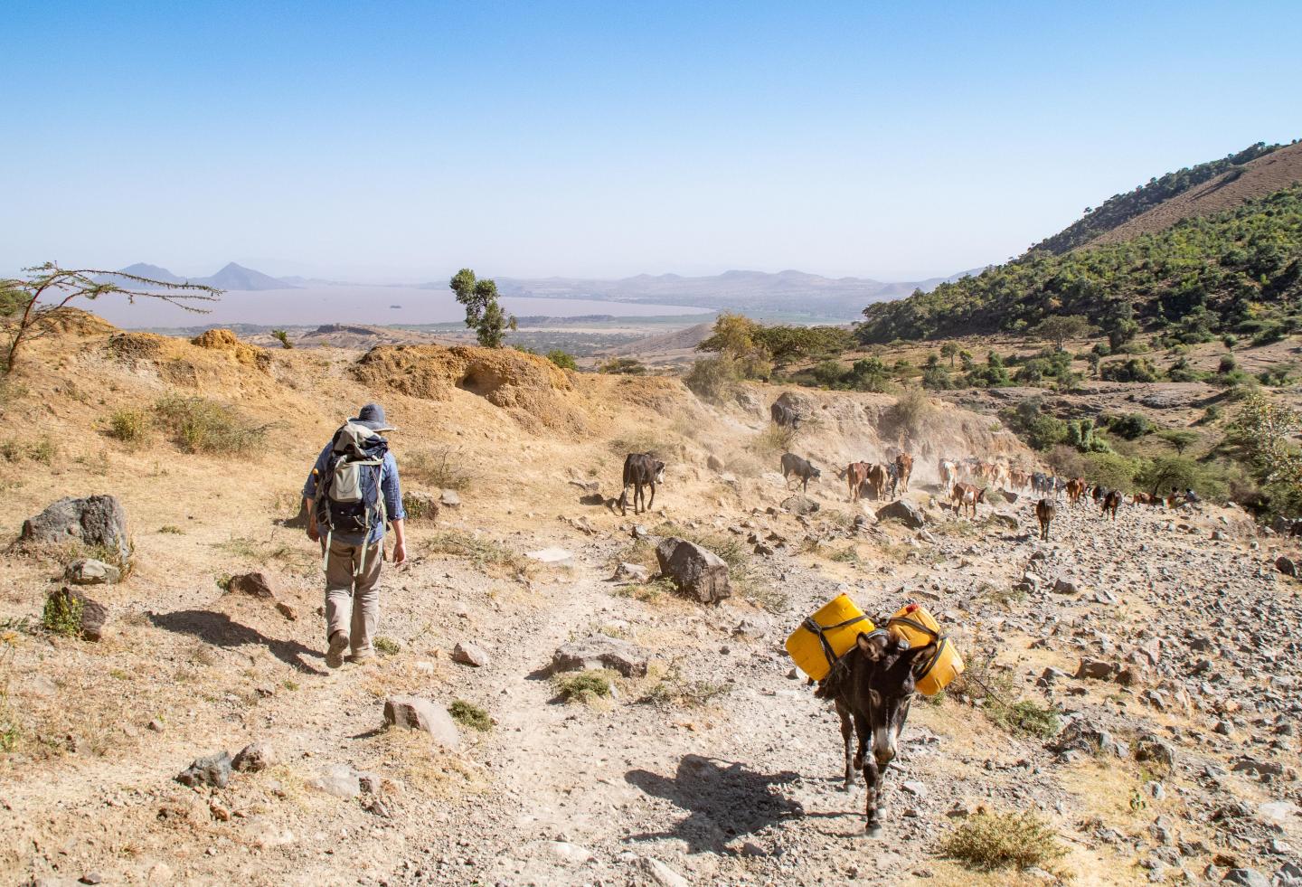 Ethiopia Fieldwork (1 of 2)