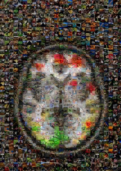 Processing Emotion
