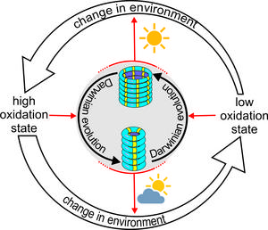 Eco-evolutionary dynamics in a synthetic replicator system