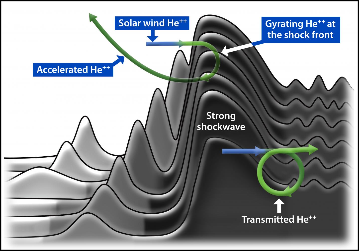 heavy ion dynamics