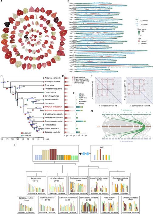 Comparative genomic analysis.