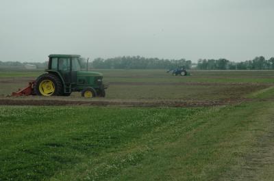 Texas A&M AgriLife Research-Beaumont Test Site