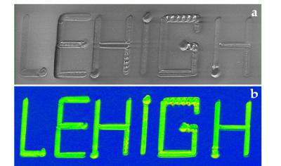 A Scanning Electron Micrograph