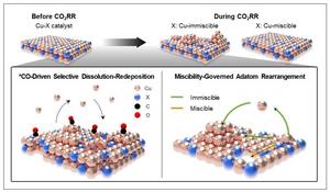 Figure 3: Schematic of the reconstruction mechanism governed by intermediate adsorption and metal miscibility.