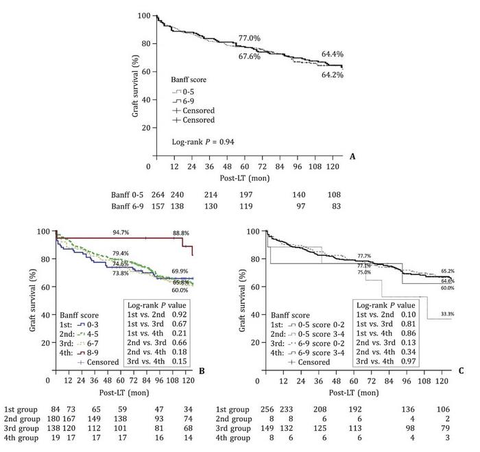 Graft survival rates according to different stratifications of the explored cohort.