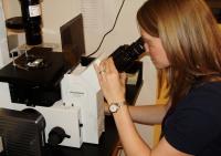 Examining Rotifers