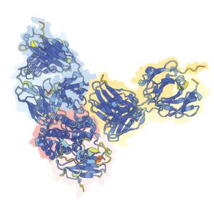 Structure of MPXV OPG153 (on white background, square)