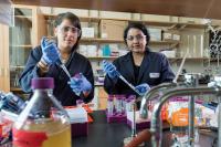 Researchers Track Heme Movement in Cells
