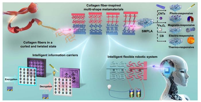 The design principle and applications of 4D printed multi-shape gradient metamaterials