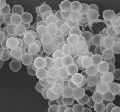 Silica Microspheres