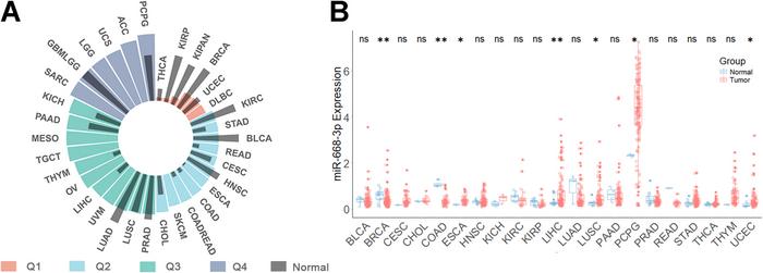 "Pan-Cancer Landscape of miR-668-3p Expression Across 15 Tumor Types"