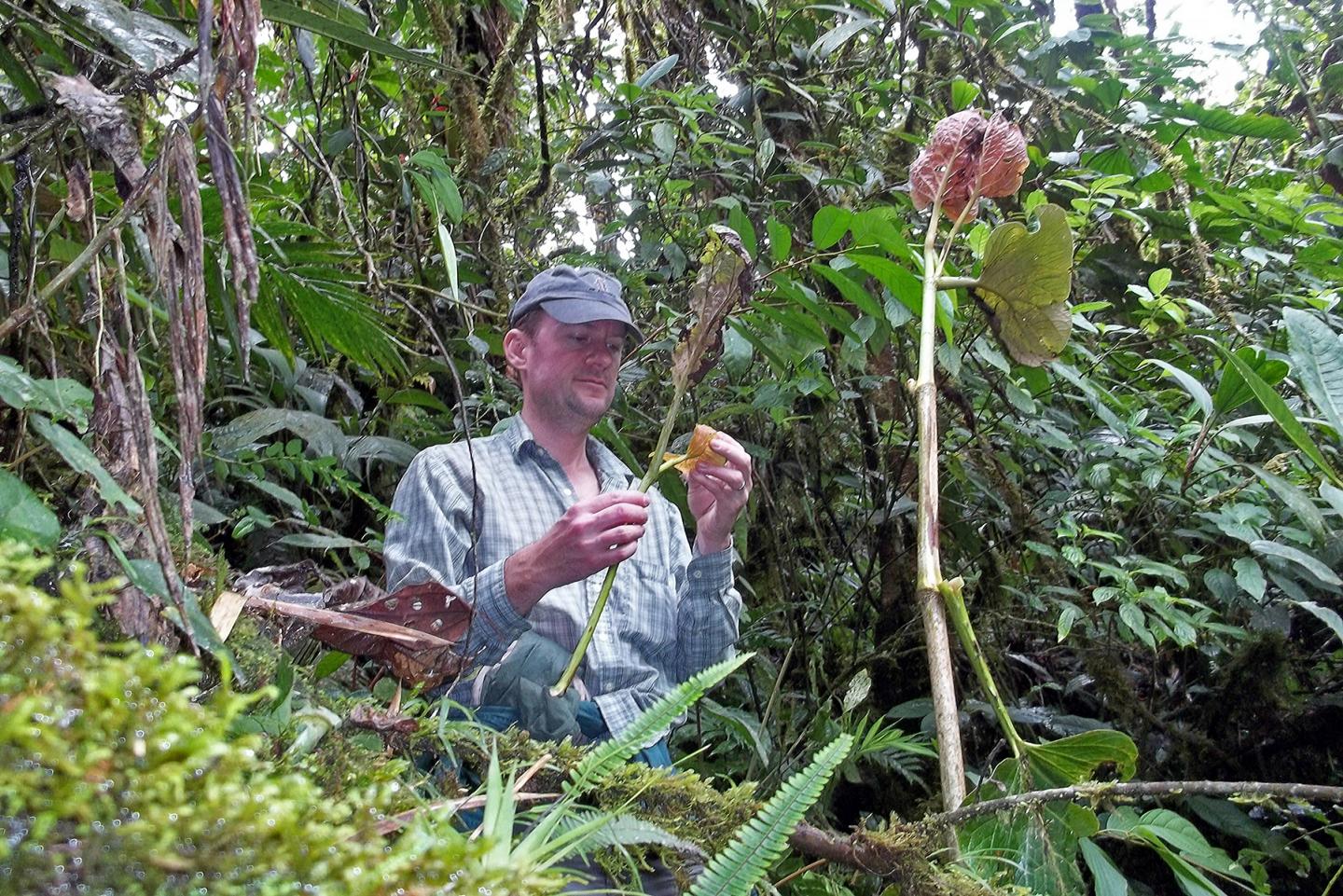 Insect Diet Specialization Studies Sample Sites Worldwide