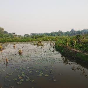Picture_Sirish_4.jpg