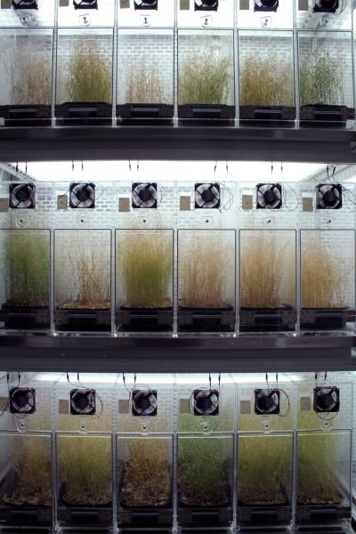 Est Set-Up of the Selection Experiment