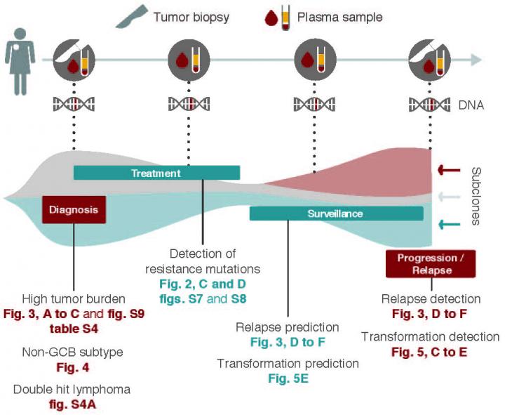 Blood Test Reveals Clues to Lymphoma Patients' Outcomes