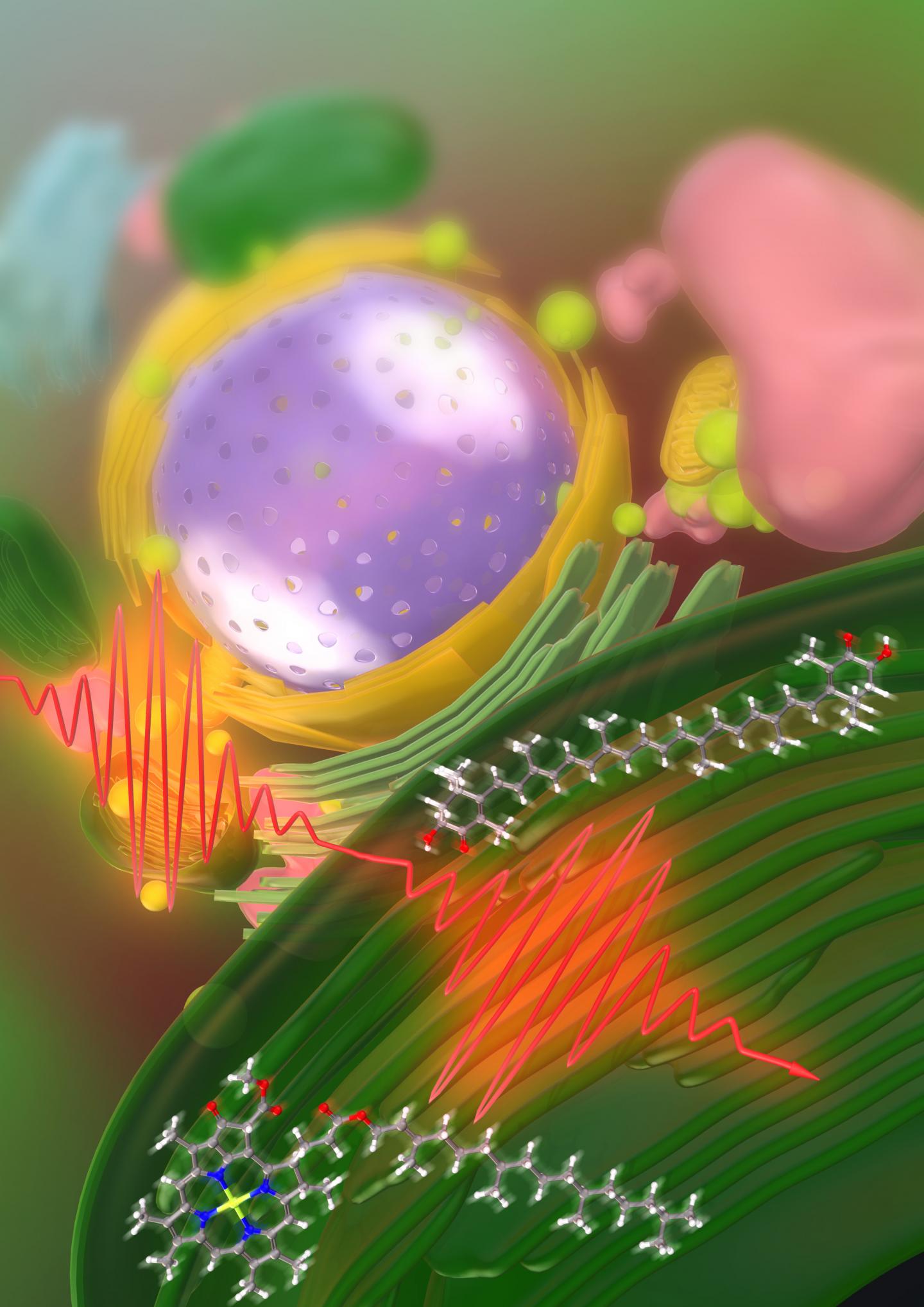 High-throughput label-free molecular fingerprinting flow cytometry (3 of 3)