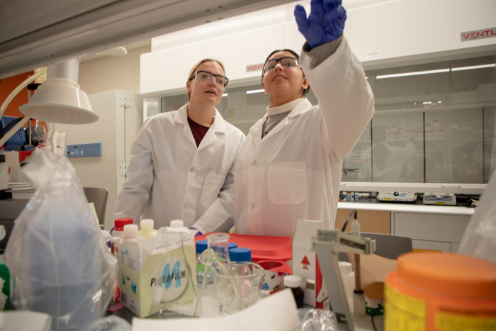 project to develop biodegradable materials