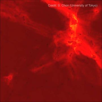 Simulation Movie of Cosmic Reionization