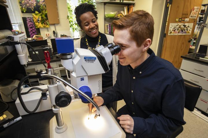 Researchers at Microscope