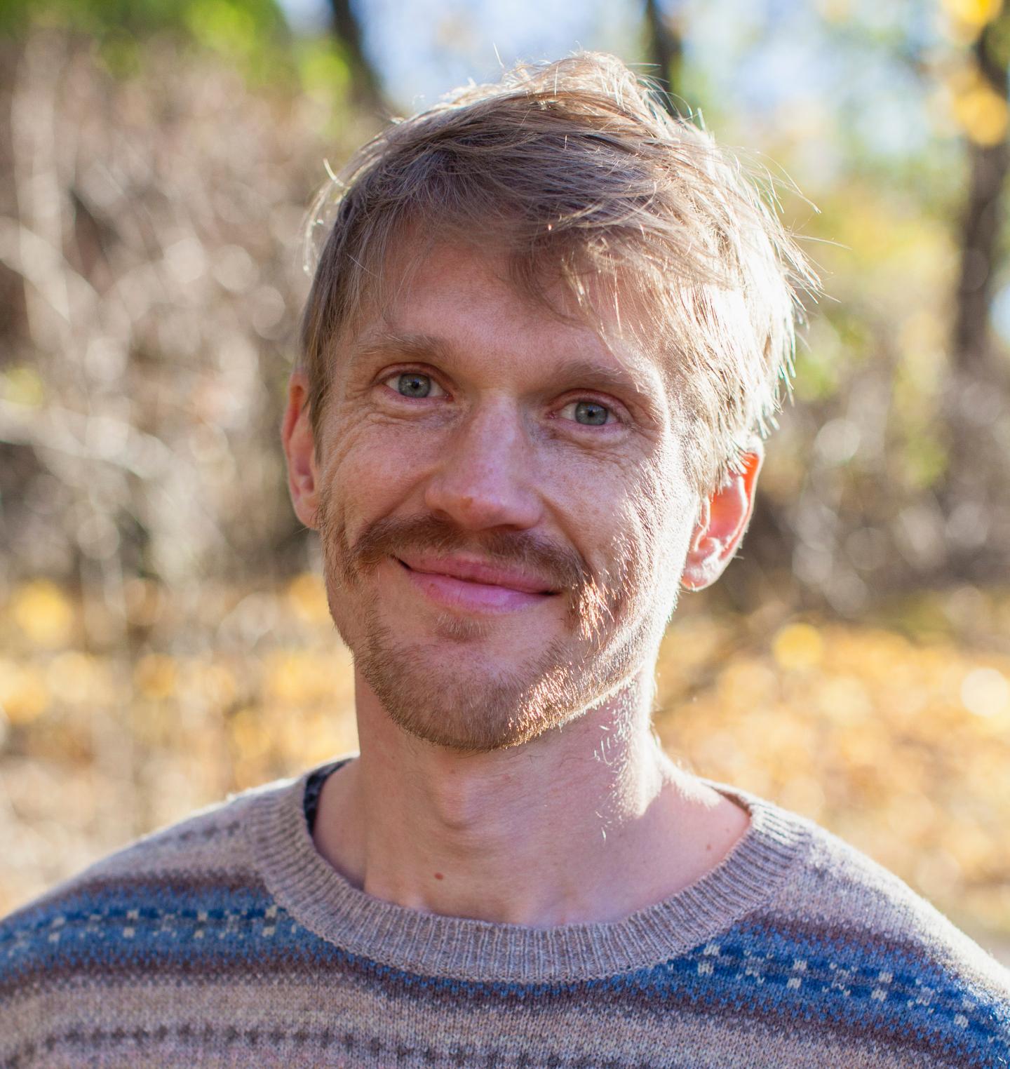 Gustav Hellstrom, Umea University 