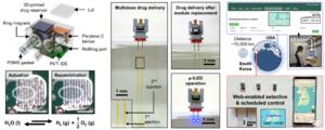 Neural Implant in Korea Remotely Controlled from the United States, Bringing Brain Research into the IoT Era