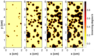 Browning simulation