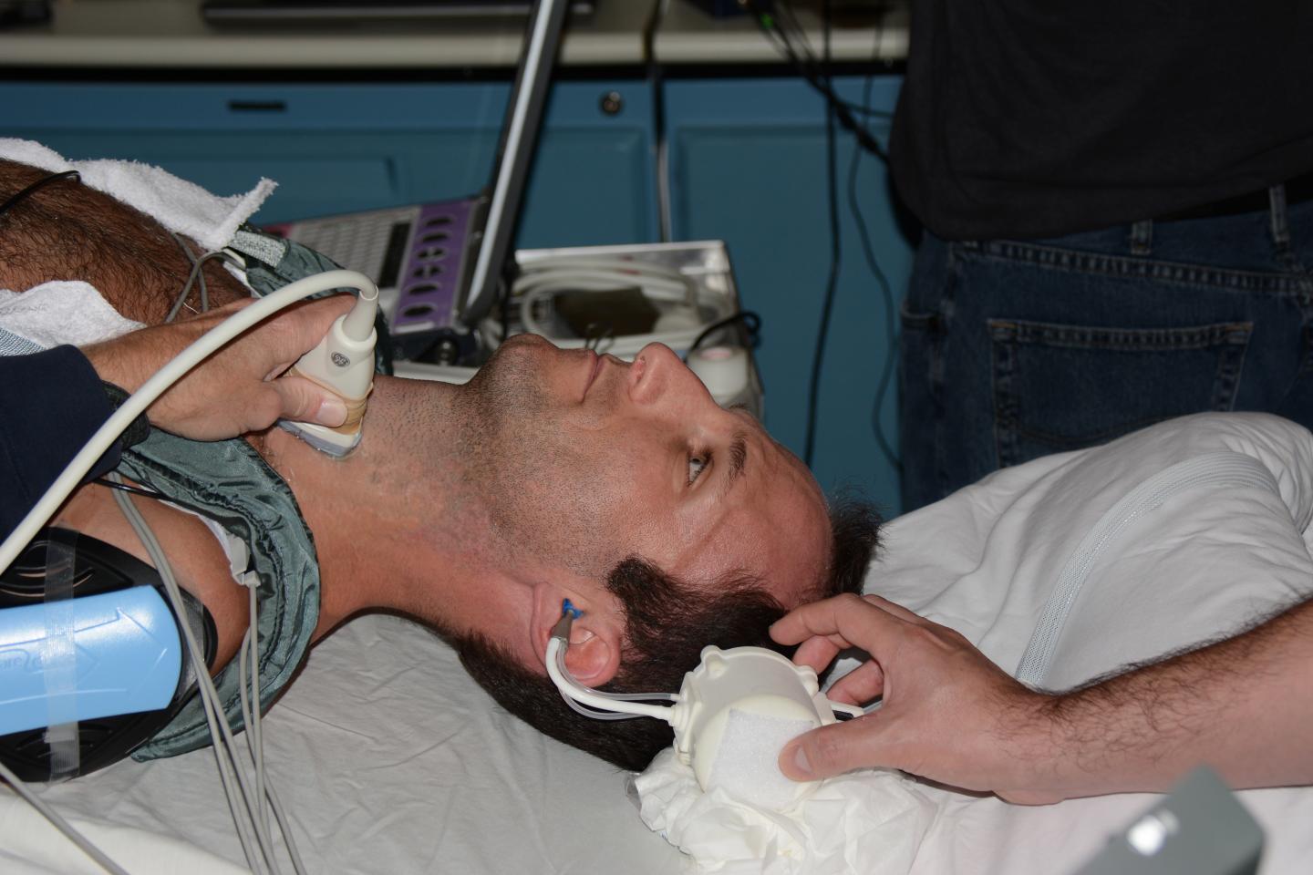 Cerebral and Cochlear Fluid Pressure Device
