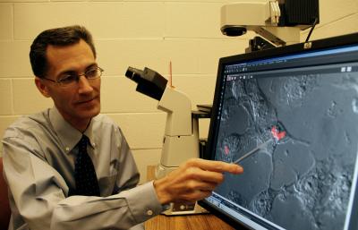 Chad Rappleye, Ph.D., Ohio State University Wexner Medical Center