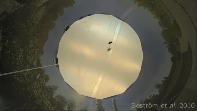 To Have Ultra Rapid Vision