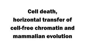 Cell death, horizontal transfer of cell-free chromatin and mammalian evolution
