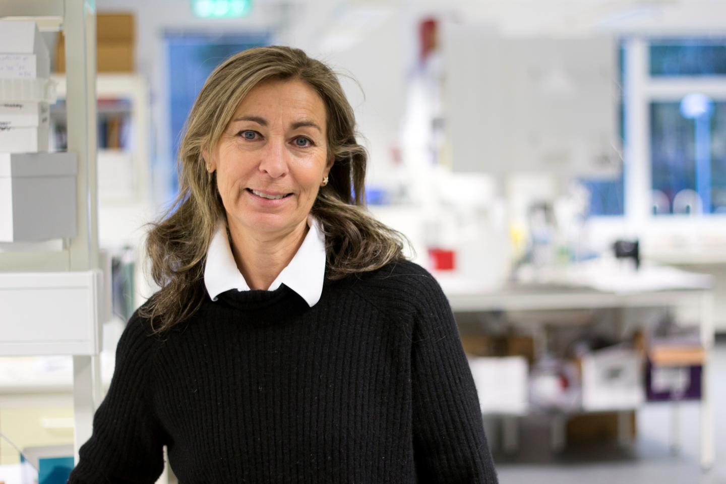 Ann Hellström, Sahlgrenska Academy