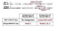 Figure2