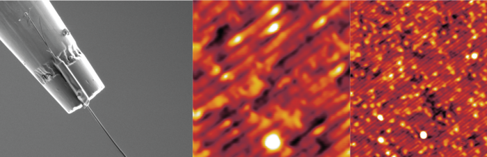 Tips_SEM_images