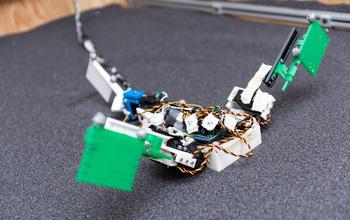 Researchers Use Robot, Mathematical Models And Studies Of Amphibious Fish To Explore Critical Evolut