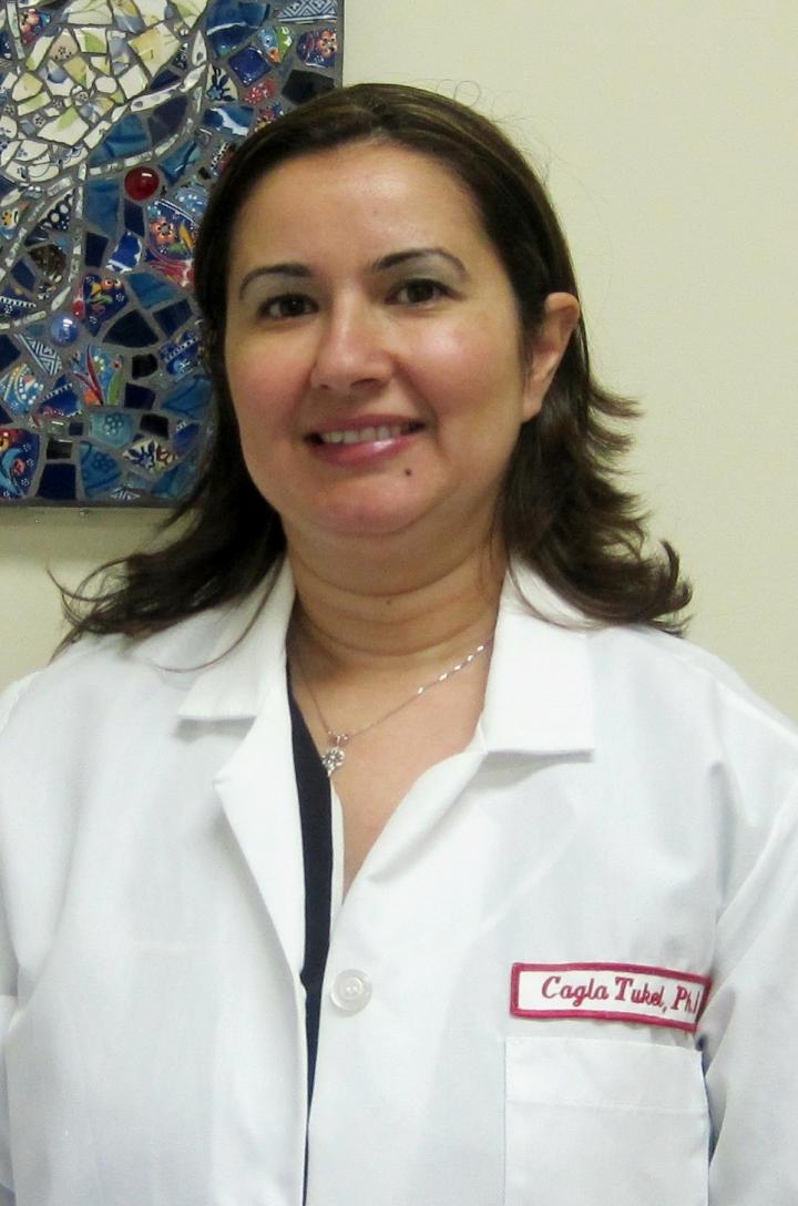 &amp;Ccedil;agla T&amp;uuml;kel, Temple University