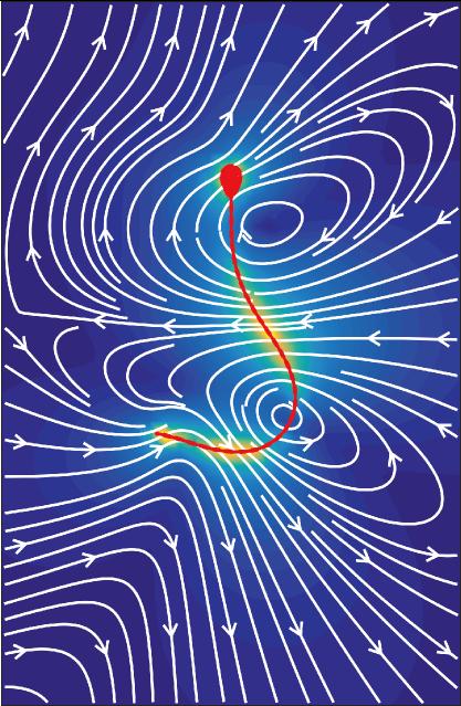 Flow Field