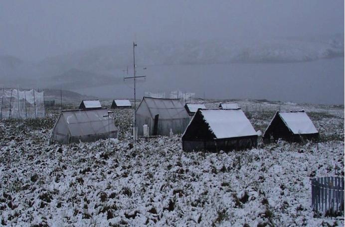 Measuring Carbon Flux from Soil in Arctic Alaska